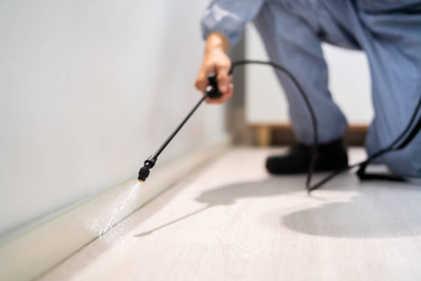 Licensed Pest Control service in Deadwood, SD - Show Me Pest Control