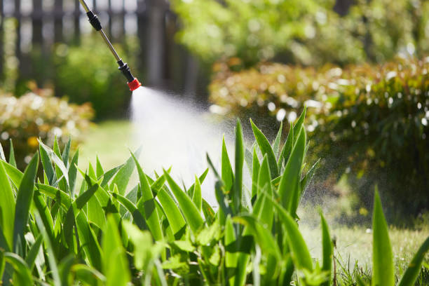 Tamper-Resistant Bait Stations for Rodents in Deadwood