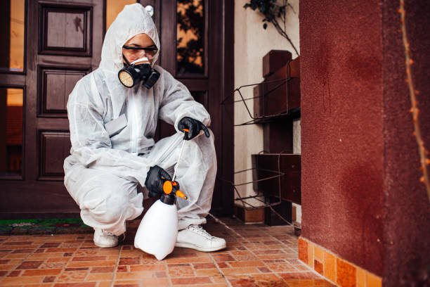 Attic and Crawl Space Rodent Treatment in Deadwood